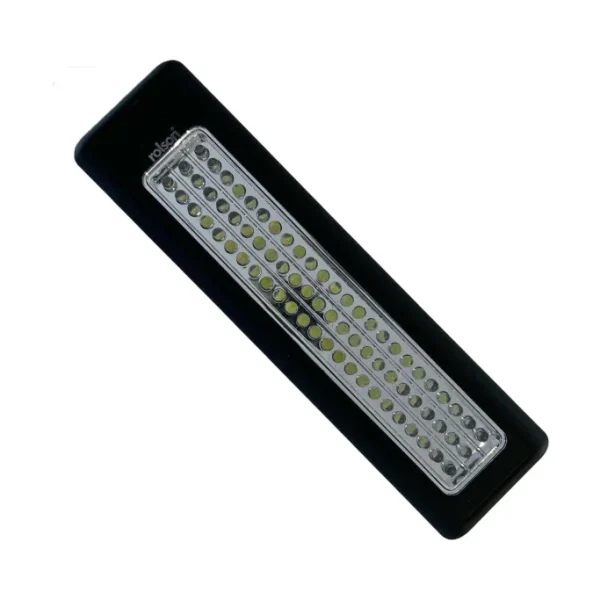 Magnetic Light